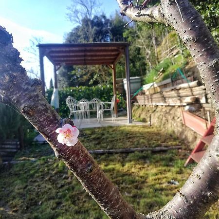 Casa Laura Διαμέρισμα Σαν Τζιμινιάνο Εξωτερικό φωτογραφία