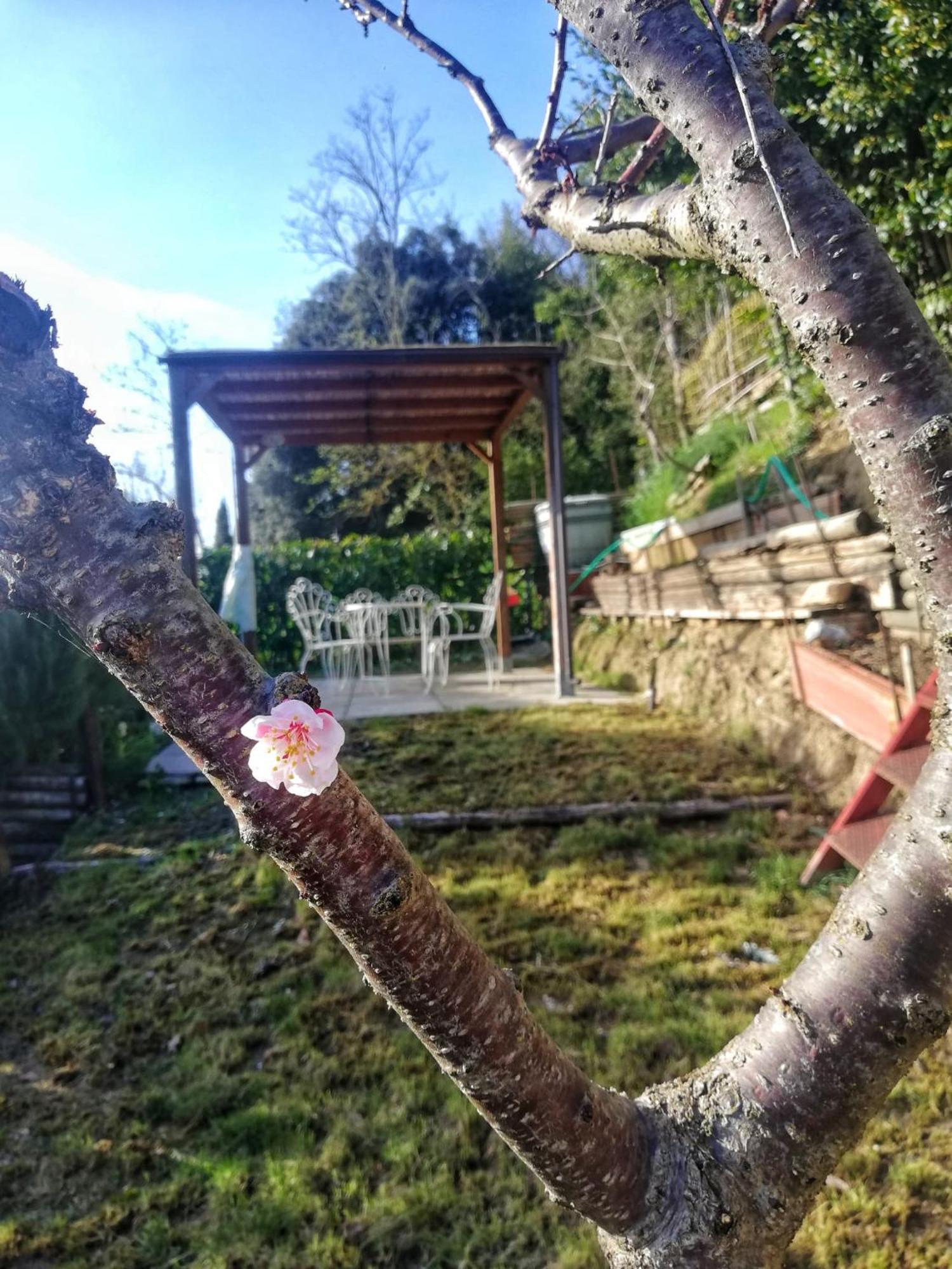 Casa Laura Διαμέρισμα Σαν Τζιμινιάνο Εξωτερικό φωτογραφία